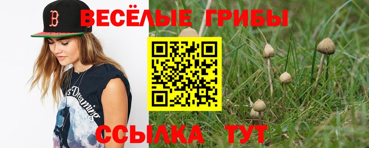 что такое наркотик  Галлюциногенные грибы мицелий  Отрадное  Вход с VPN  Псилоцибиновые грибы Magic Shrooms 